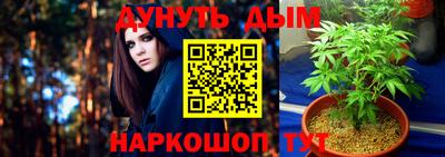 сатива Усть-Илимск
