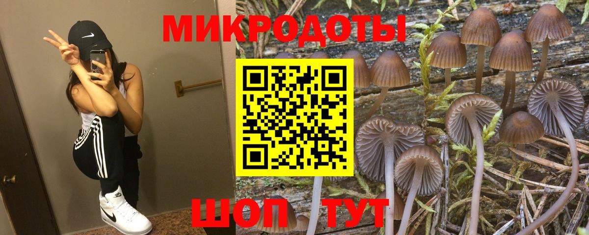 Псилоцибиновые грибы Psilocybe  Галлюциногенные грибы Magic Shrooms  Всеволожск  Вход с VPN 